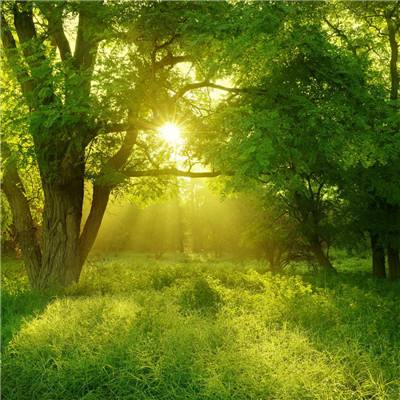 香港最准资料免费公开app下载